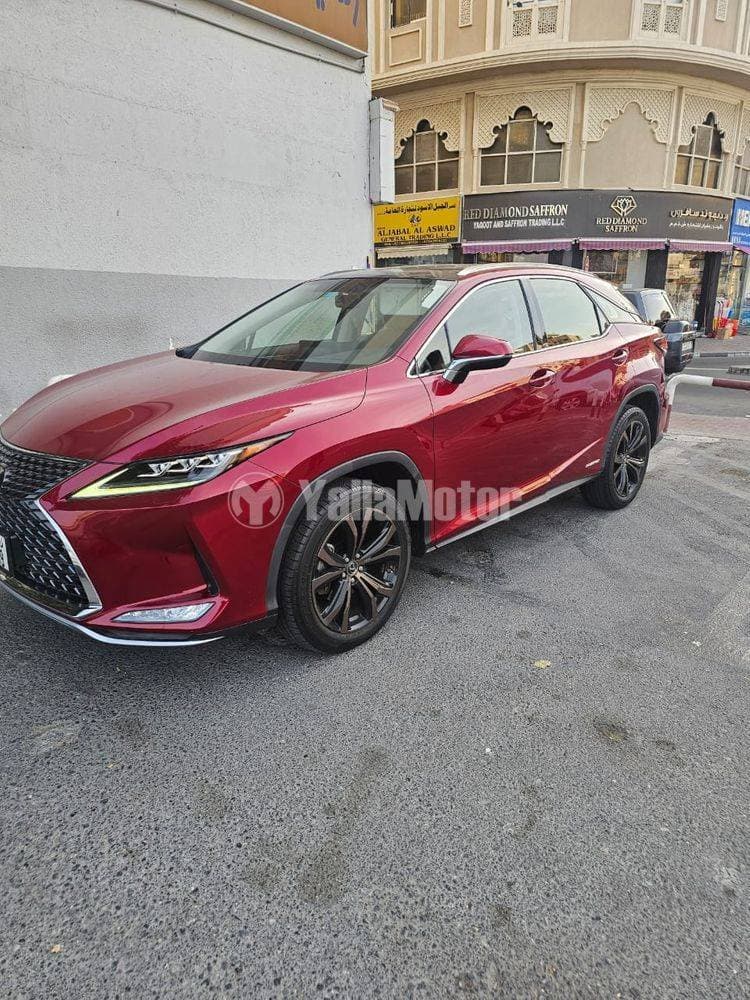 2020 Lexus RX Series