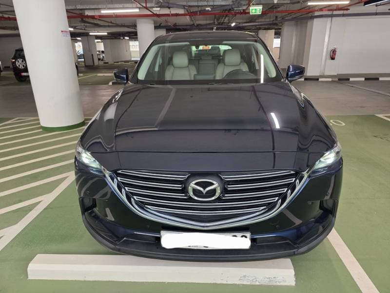 2017 Mazda CX-9 thumbnail 2