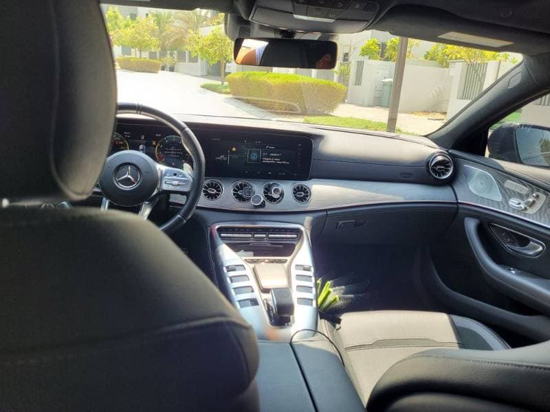 2019 Mercedes-Benz AMG GT 4-Door Coupe thumbnail 8