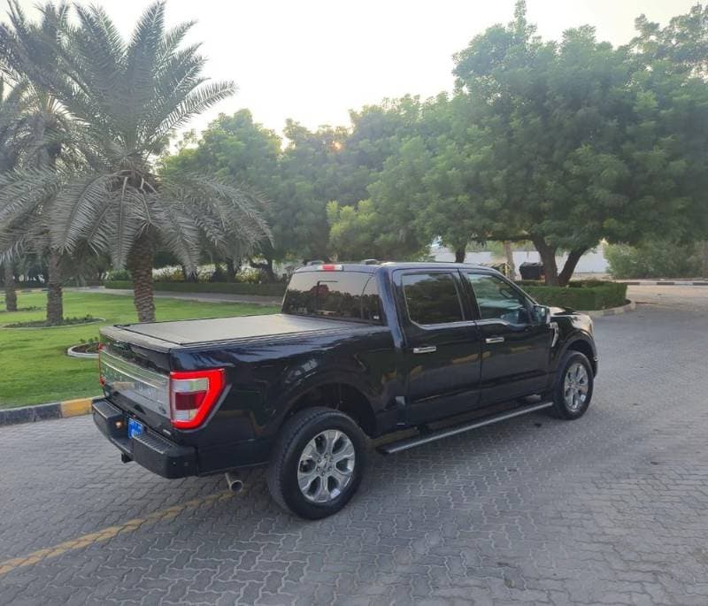 2023 Ford F-150 thumbnail 6