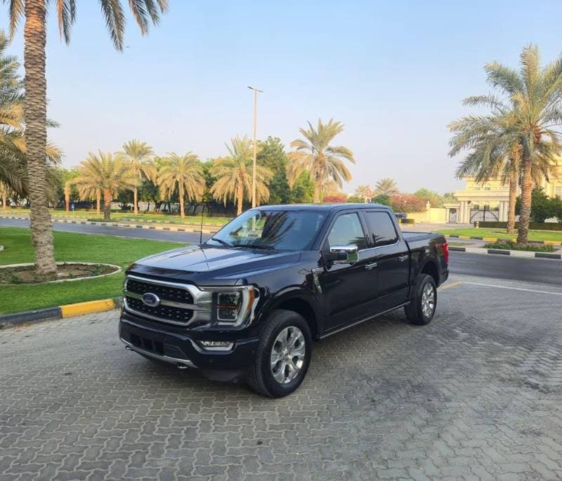 2023 Ford F-150 thumbnail 9