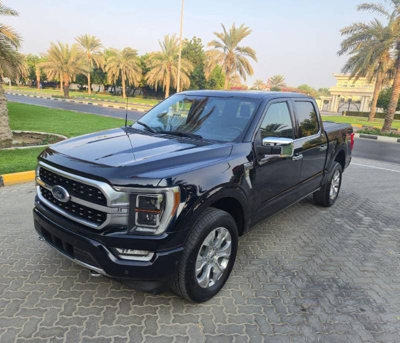 2023 Ford F-150 thumbnail 10