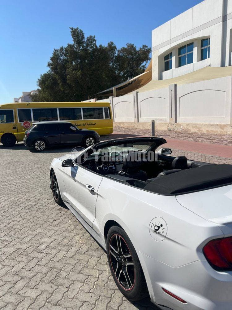 2020 Ford Mustang Convertible thumbnail 4