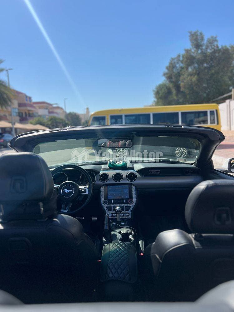 2020 Ford Mustang Convertible thumbnail 2