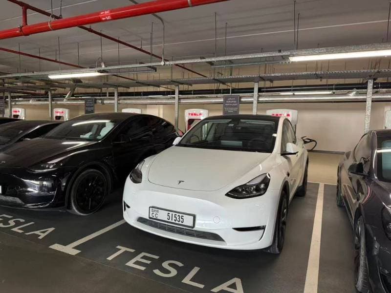 2025 Tesla Model Y