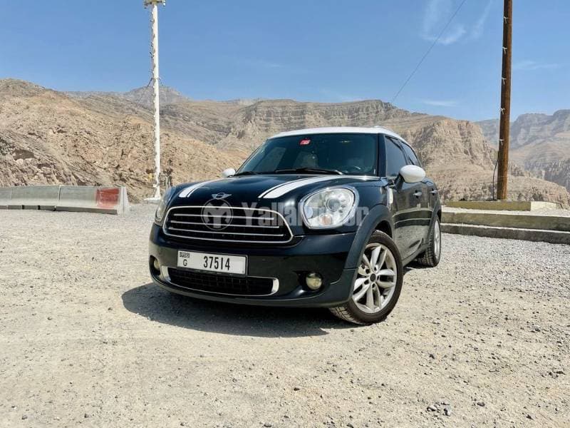 2012 Mini Countryman thumbnail 3