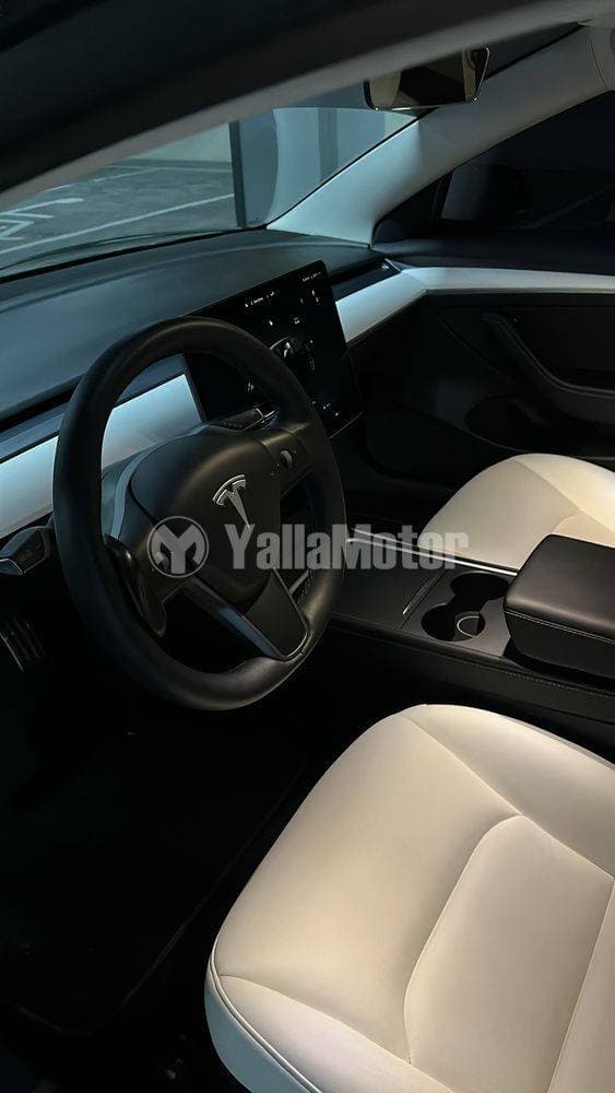 2022 Tesla Model 3 thumbnail 3