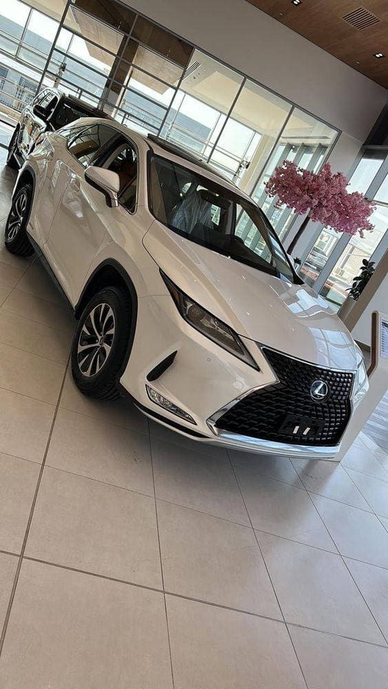 2020 Lexus RX thumbnail 5