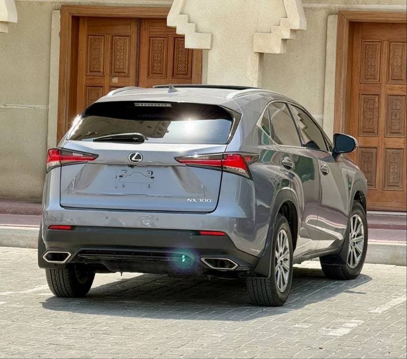 2018 Lexus NX thumbnail 2