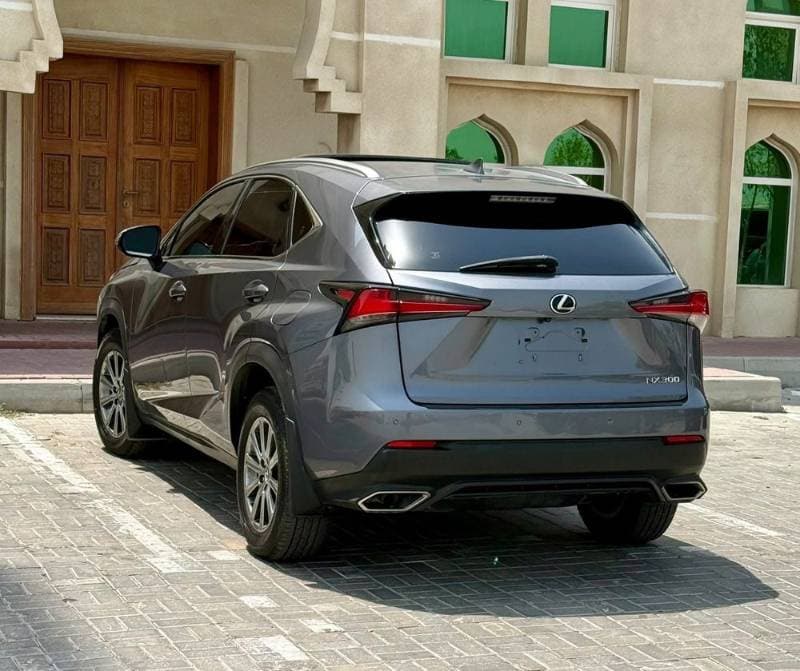 2018 Lexus NX thumbnail 5