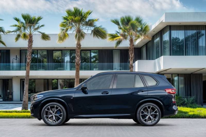 2020 BMW X5 thumbnail 6