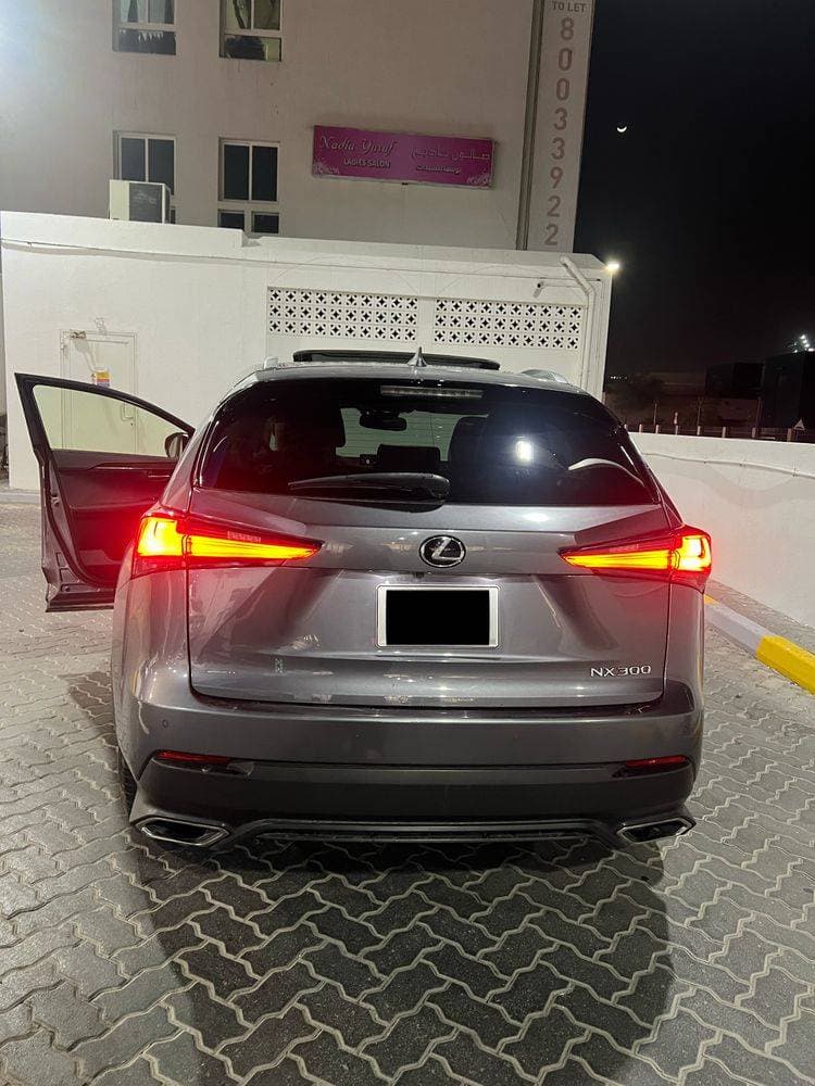 2018 Lexus NX thumbnail 2