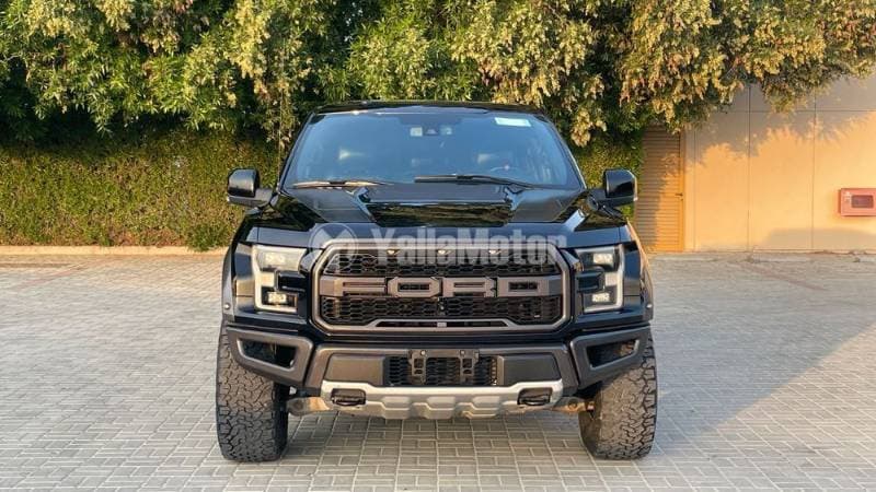 2017 Ford F-150 Raptor thumbnail 2