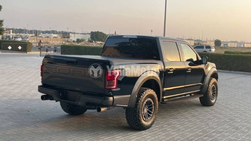 2017 Ford F-150 Raptor thumbnail 8