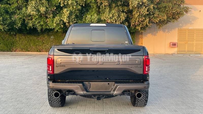 2017 Ford F-150 Raptor thumbnail 9