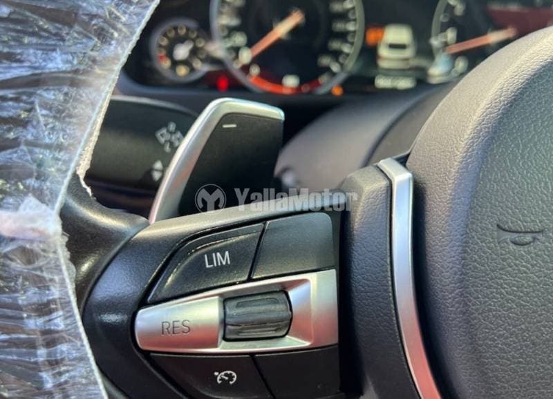 2018 BMW X6 thumbnail 4