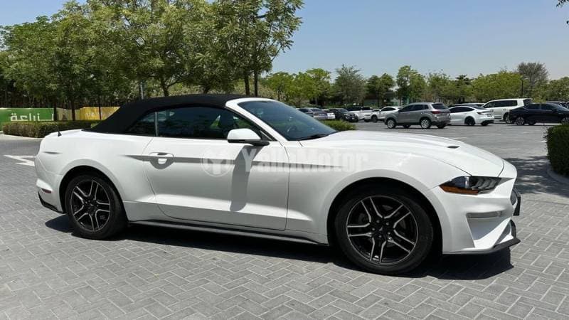 2020 Ford Mustang thumbnail 4
