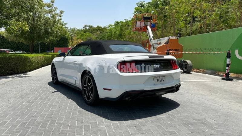 2020 Ford Mustang thumbnail 7