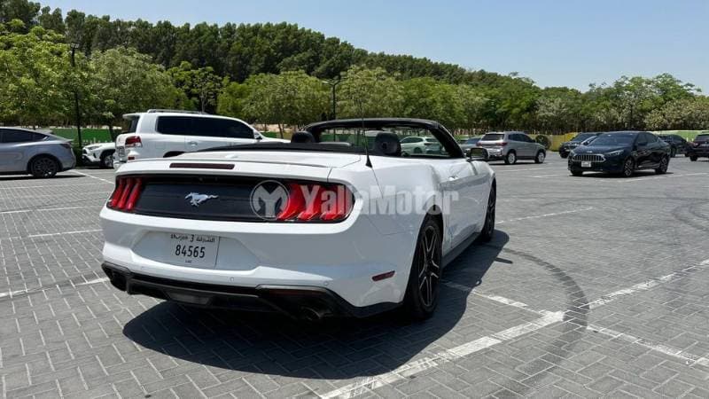 2020 Ford Mustang thumbnail 8