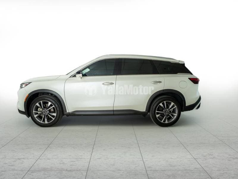 2023 Infiniti QX60 thumbnail 5
