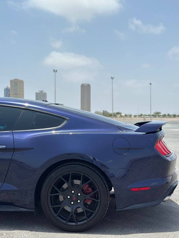 2019 Ford Mustang thumbnail 4