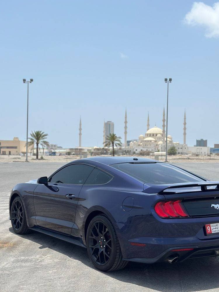 2019 Ford Mustang thumbnail 2