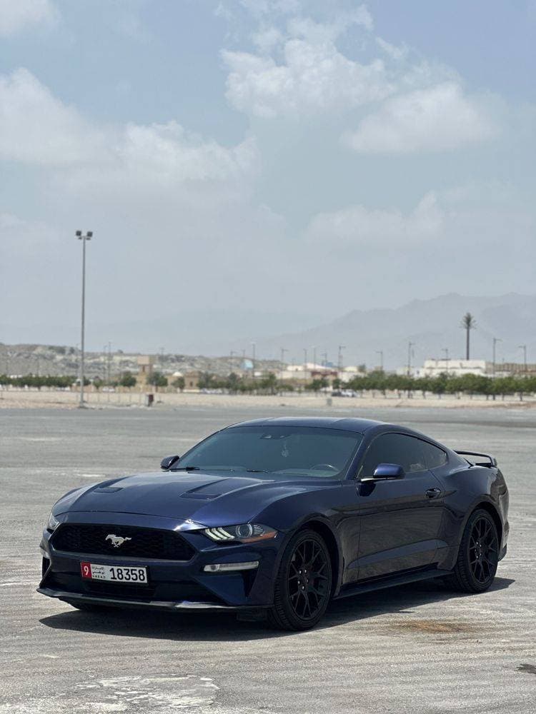 2019 Ford Mustang