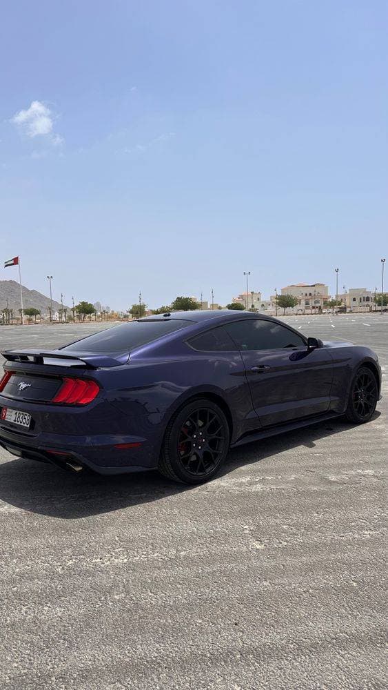 2019 Ford Mustang thumbnail 3