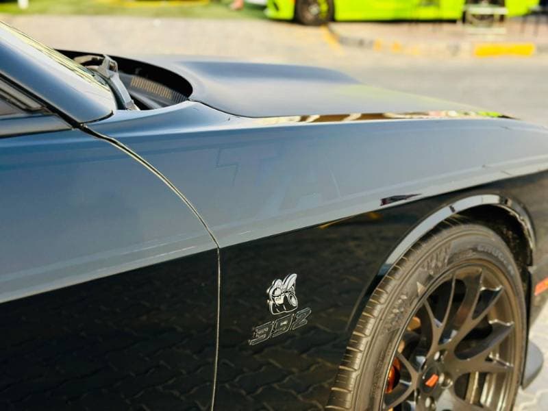 2020 Dodge Challenger thumbnail 9