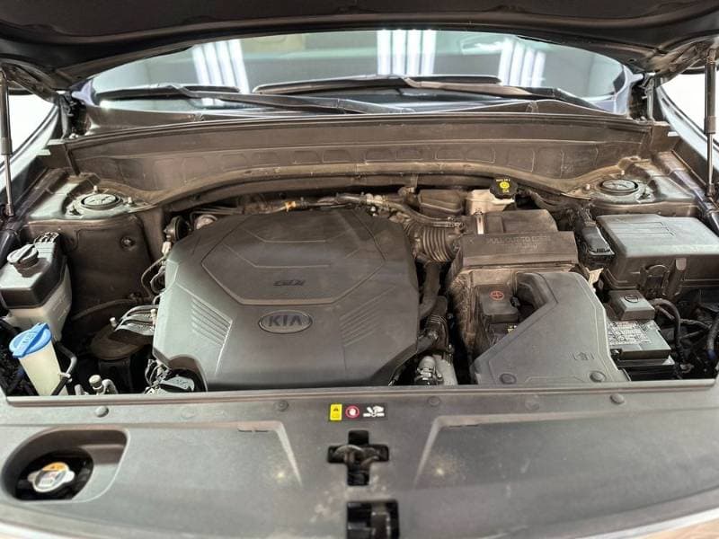 2020 Kia Telluride thumbnail 8