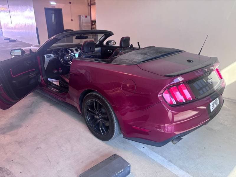 2015 Ford Mustang Convertible thumbnail 4