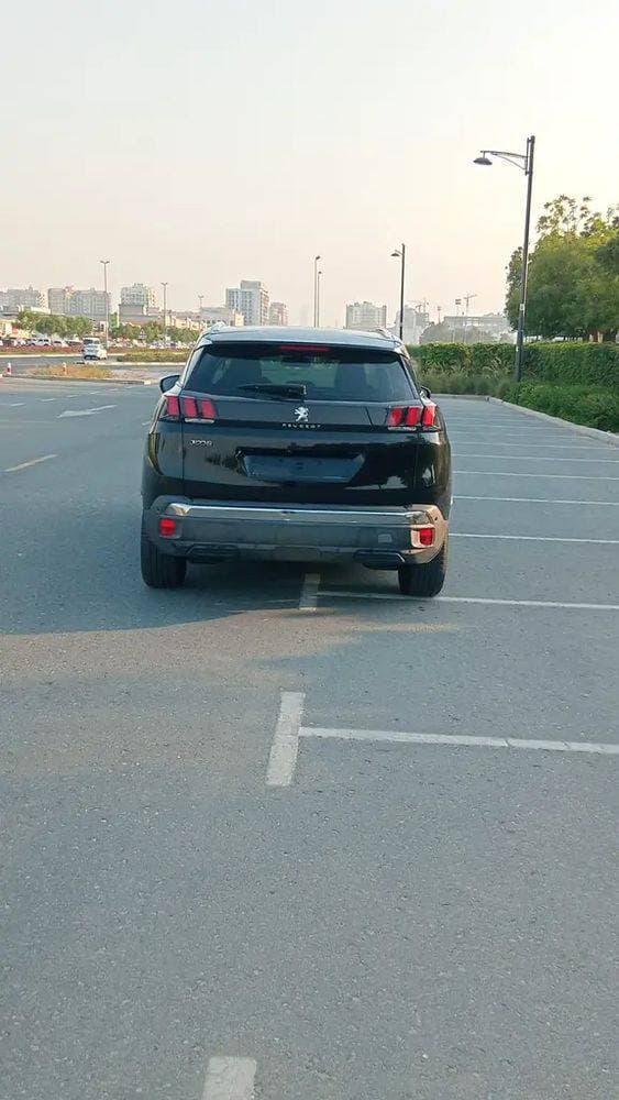 2019 Peugeot 3008 thumbnail 3