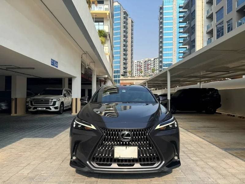 2025 Lexus NX