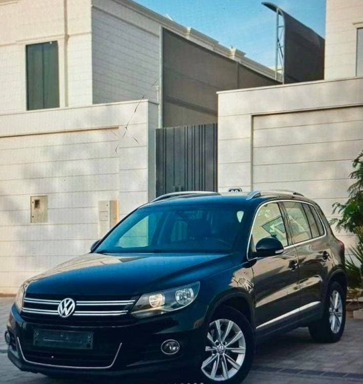 2013 Volkswagen Tiguan thumbnail 2