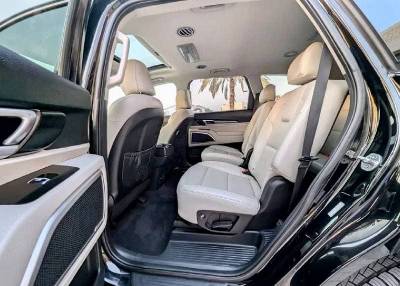 2020 Kia Telluride thumbnail 10