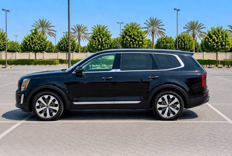 2020 Kia Telluride thumbnail 4