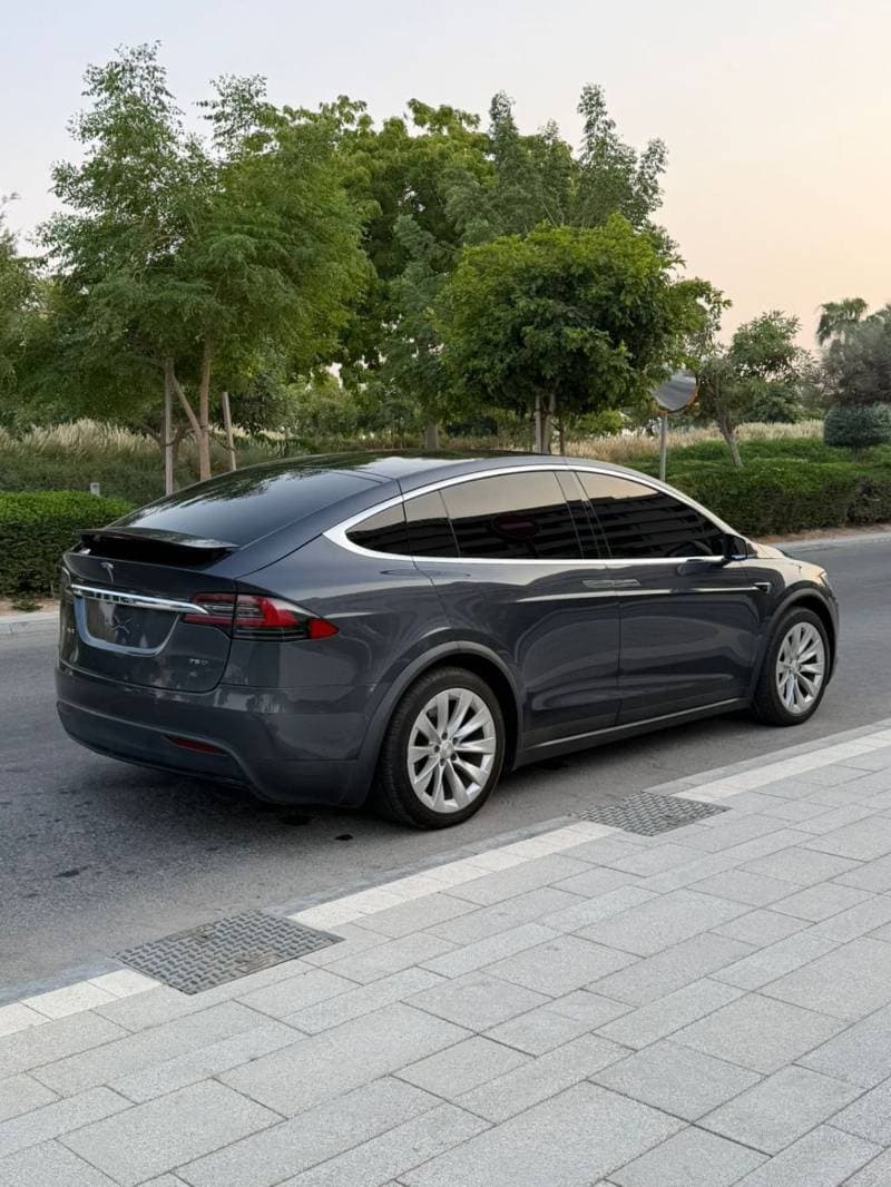 2018 Tesla Model X thumbnail 2