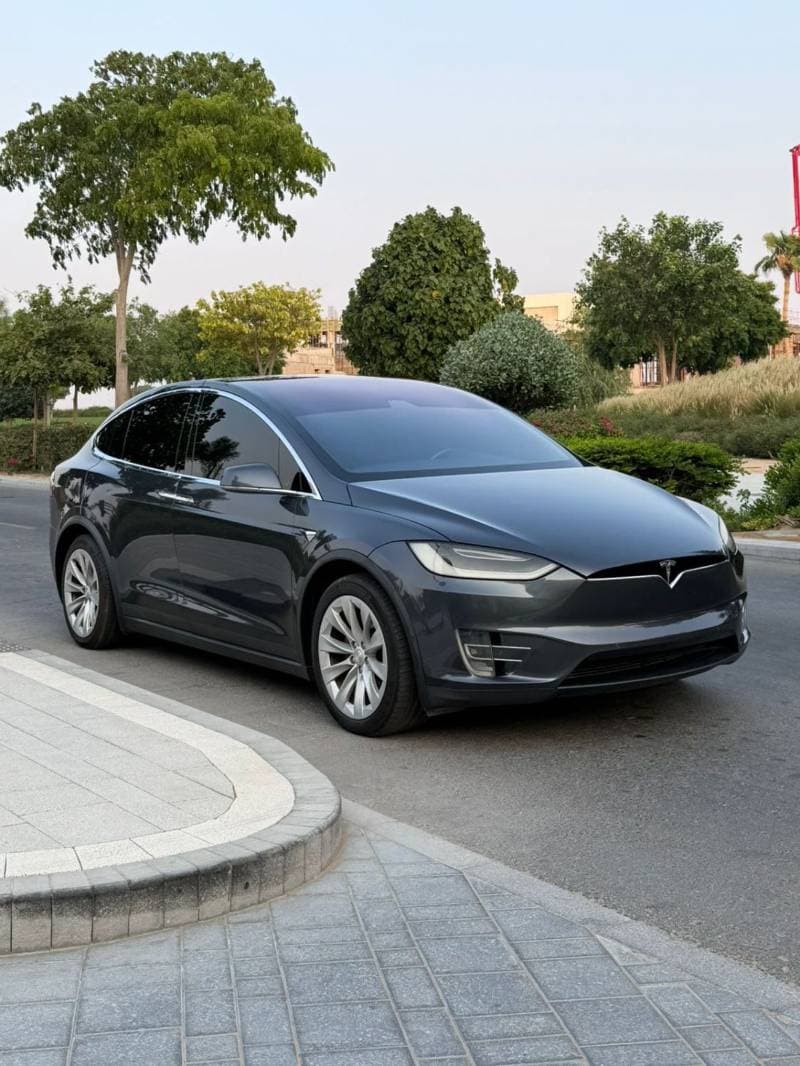2018 Tesla Model X thumbnail 6