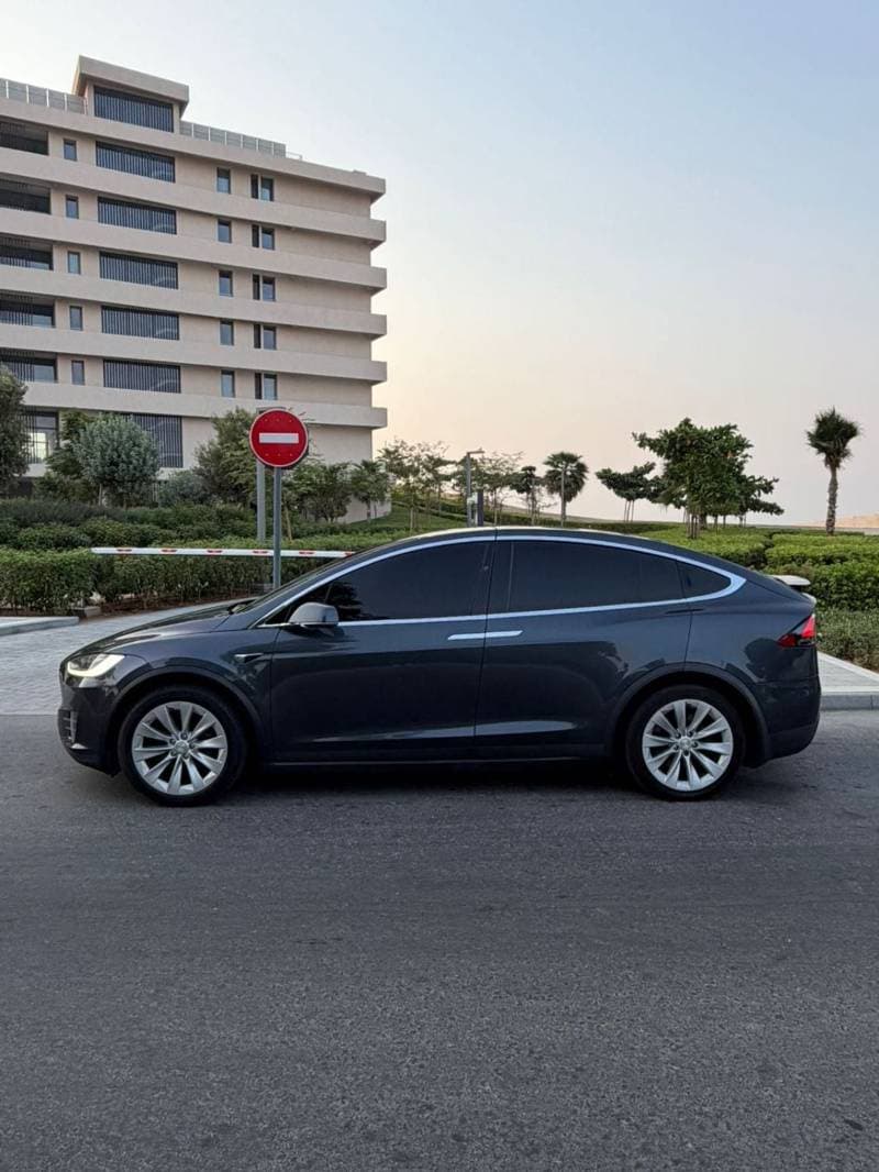 2018 Tesla Model X thumbnail 3