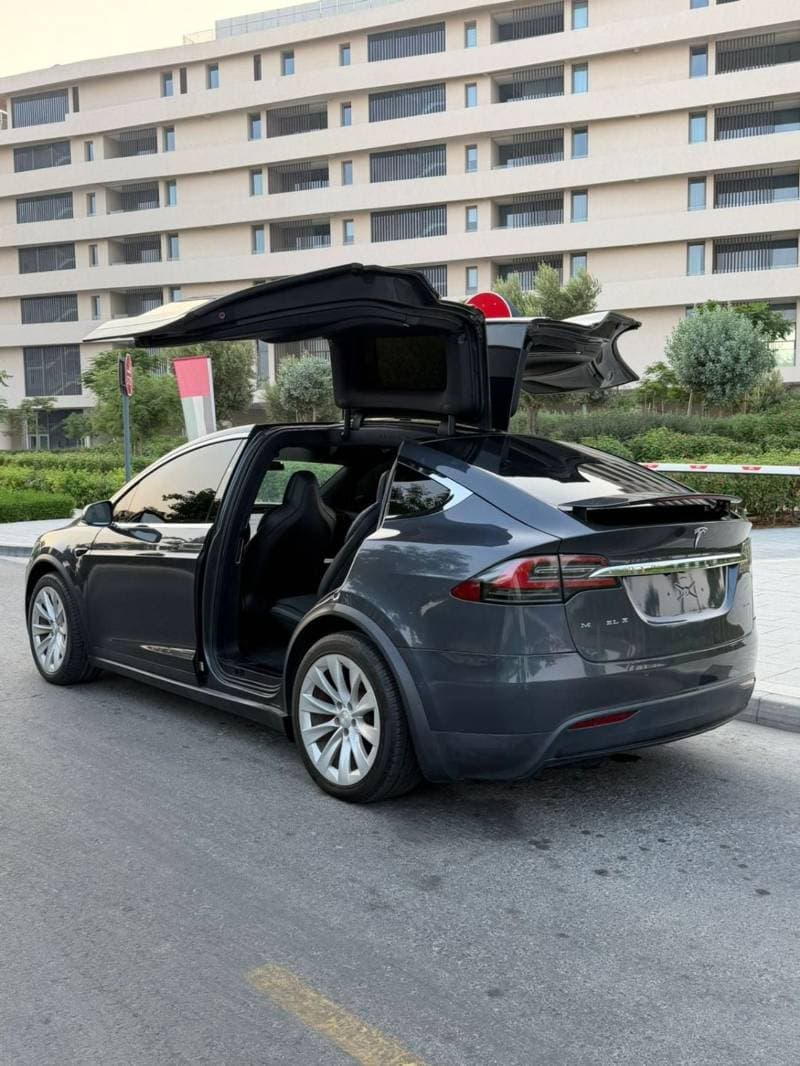 2018 Tesla Model X thumbnail 4