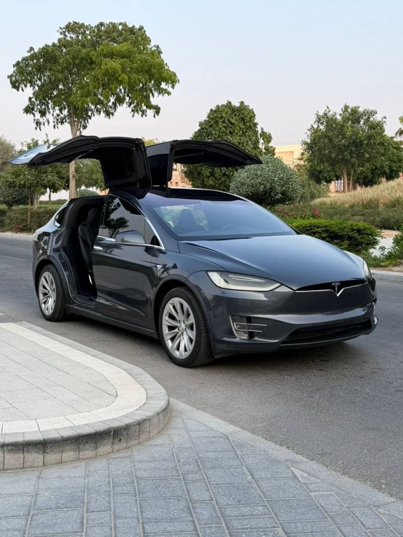 2018 Tesla Model X thumbnail 7