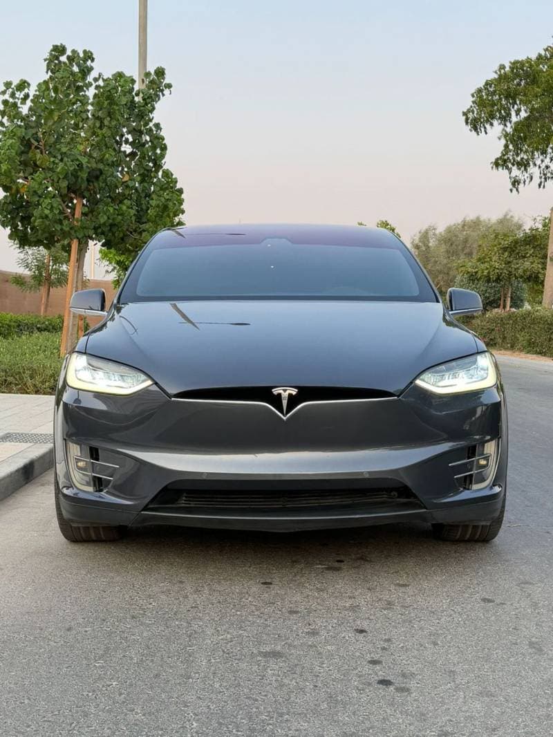 2018 Tesla Model X thumbnail 9