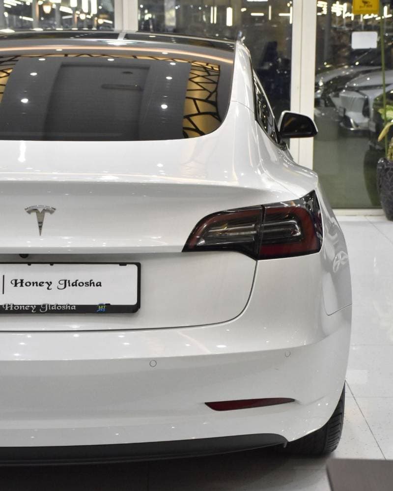 2022 Tesla Model 3 thumbnail 9
