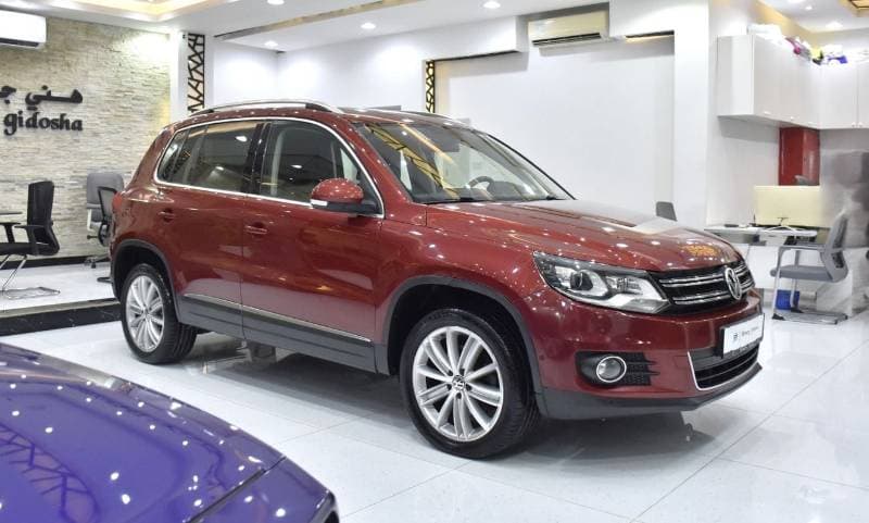2014 Volkswagen Tiguan