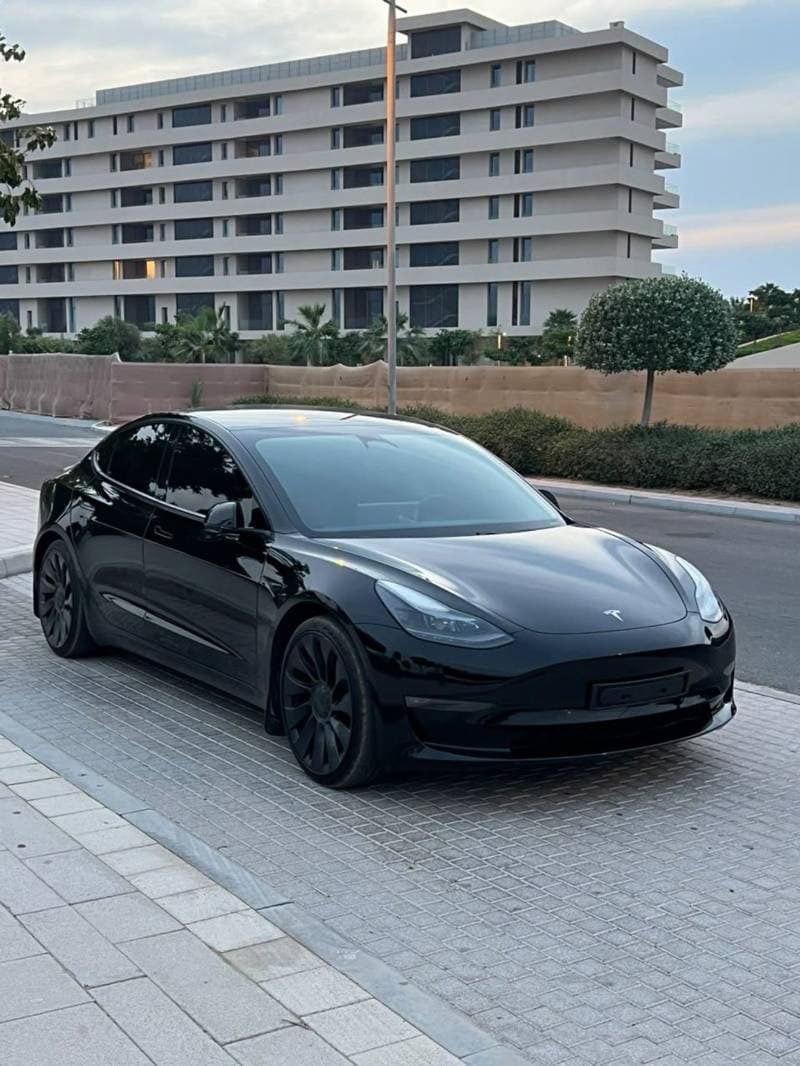 2021 Tesla Model 3 thumbnail 2
