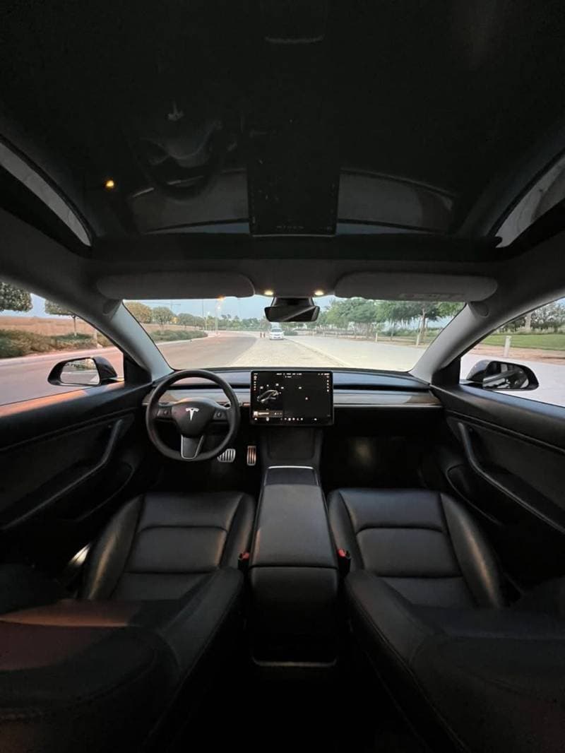 2021 Tesla Model 3 thumbnail 10