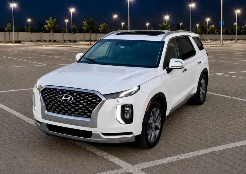 2020 Hyundai Palisade thumbnail 2