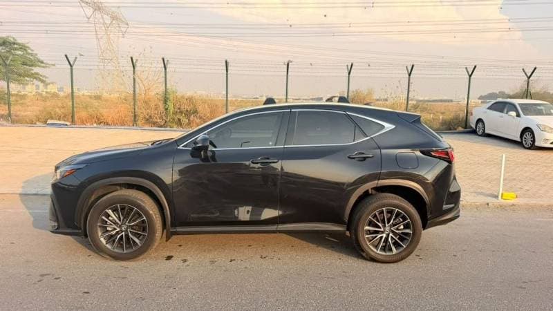 2024 Lexus NX350 thumbnail 2