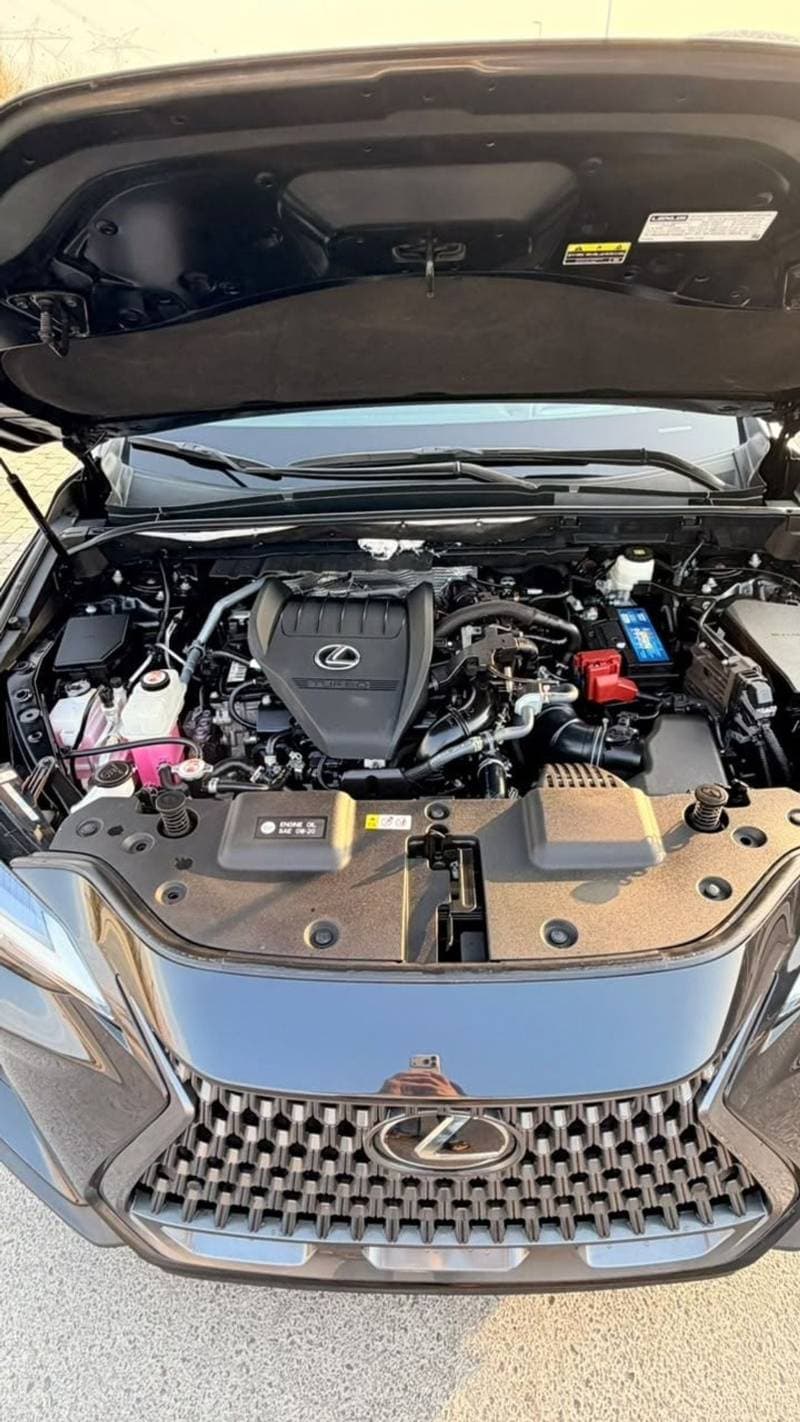 2024 Lexus NX350 thumbnail 8