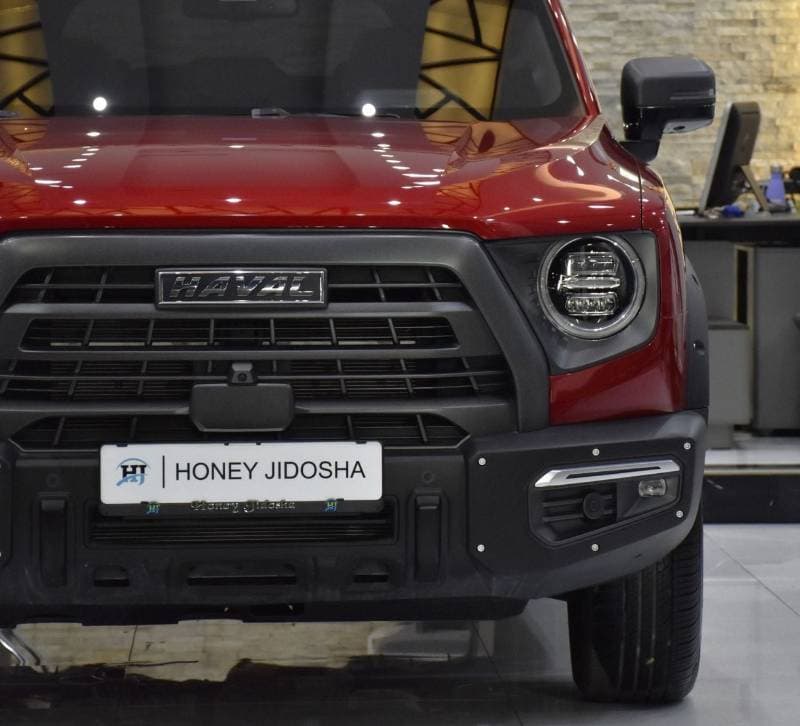 2023 Haval Dargo thumbnail 4